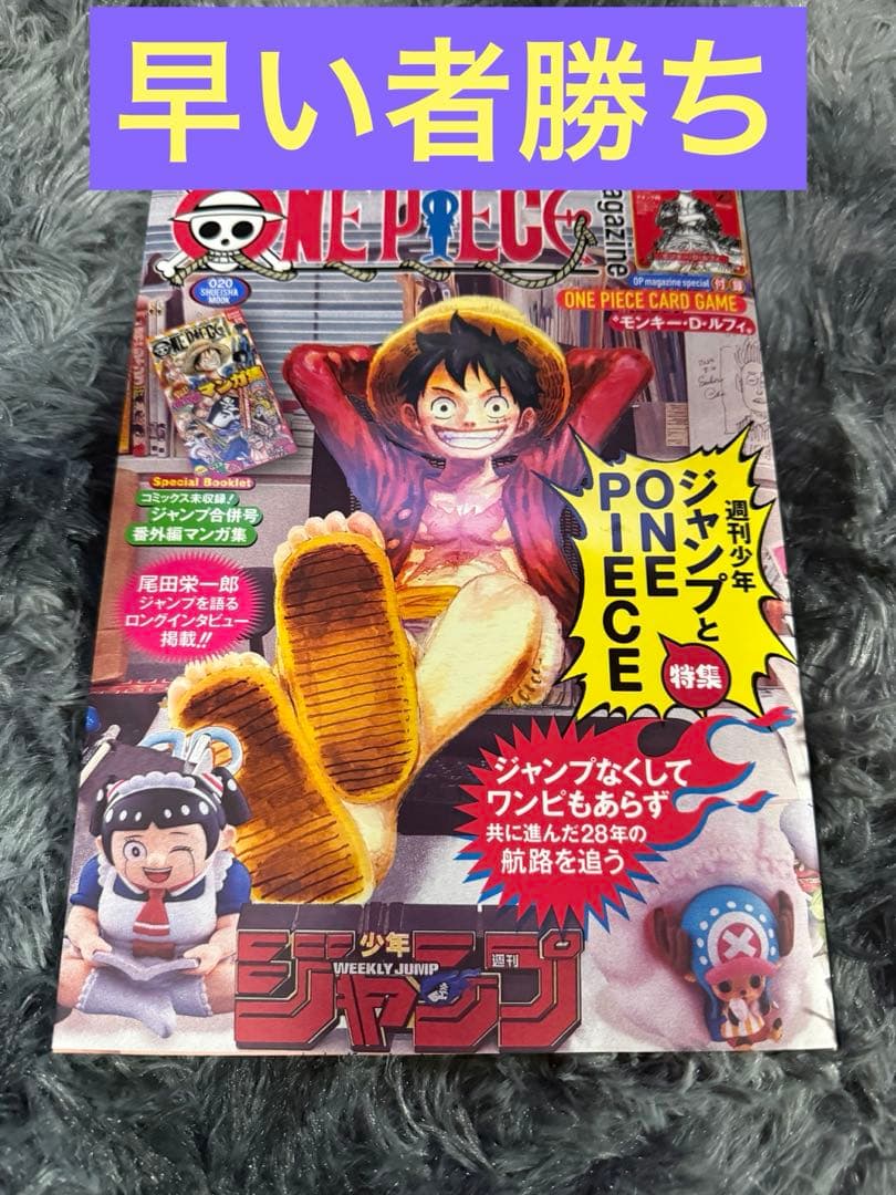 ONE PIECE magazine ワンピースマガジン 20号 プロモ付1冊