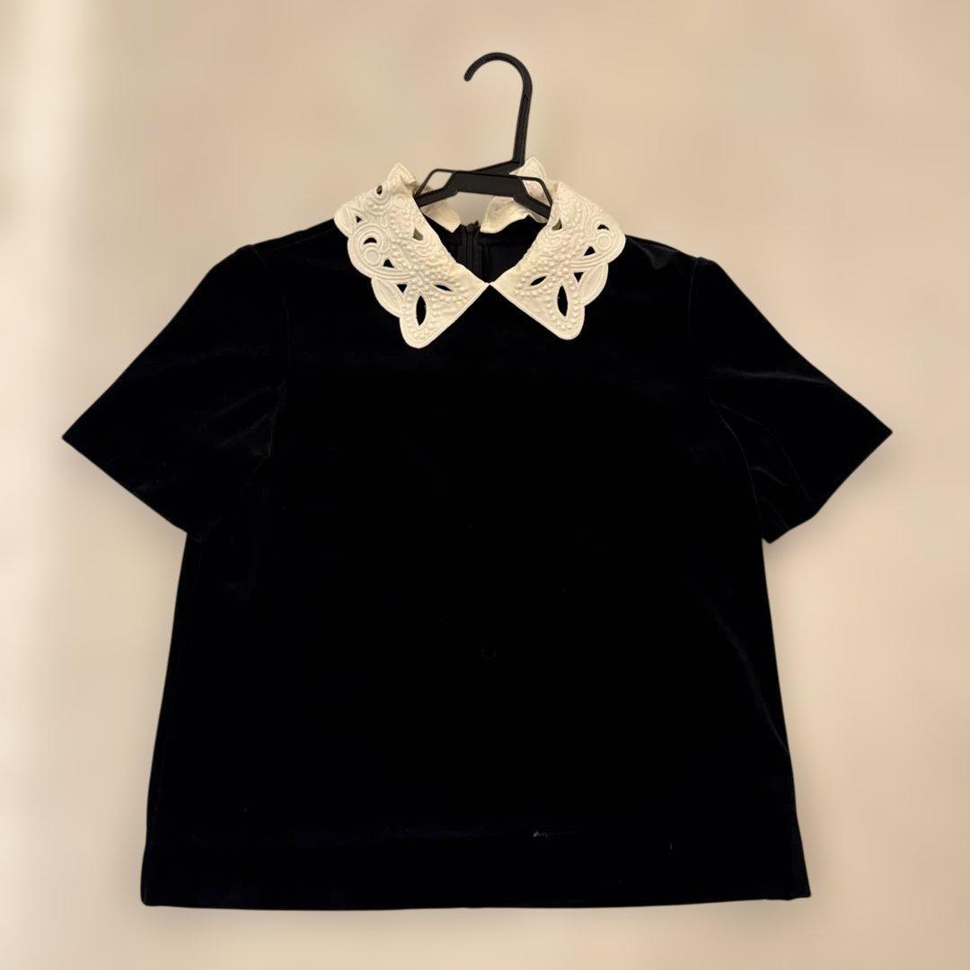 フォクシーベロアカットソー38