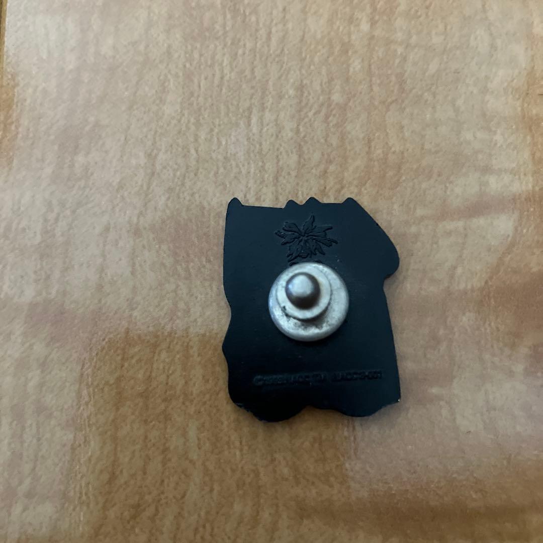 長野オリンピック スノーレッツ ピンバッジ - メルカリ