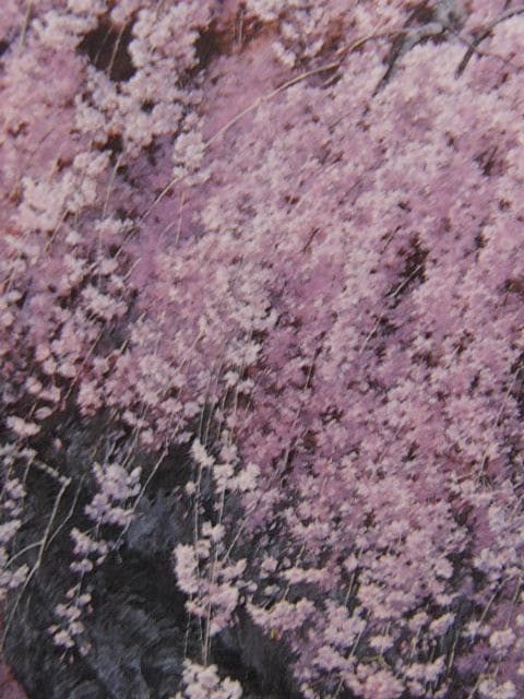 三栖右嗣、爛漫、希少な額装用画集より、新品高級額装付、状態良好