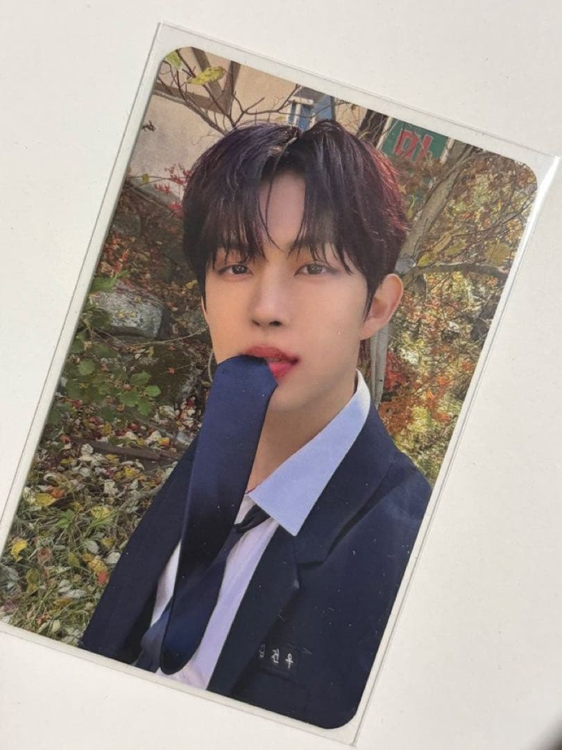 韓国　Alphadriveone　ALD1　サノク　3週目　ゴヌ　トレカ