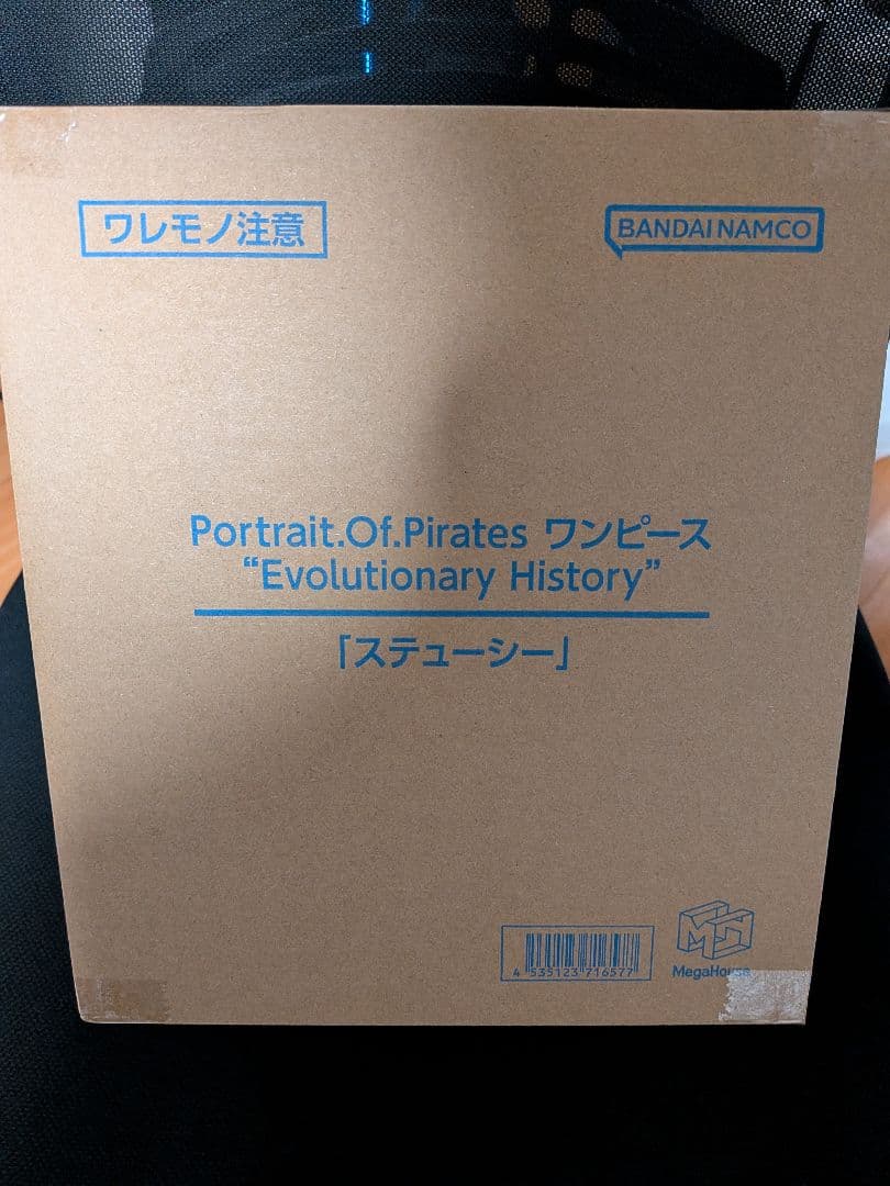 Portrait.Of.Pirates ワンピース　ステューシー