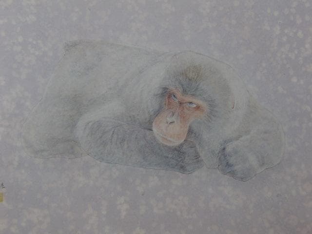 楚里清、【時（ゴリラ）】、希少な額装用画集画、新品高級額 額装付