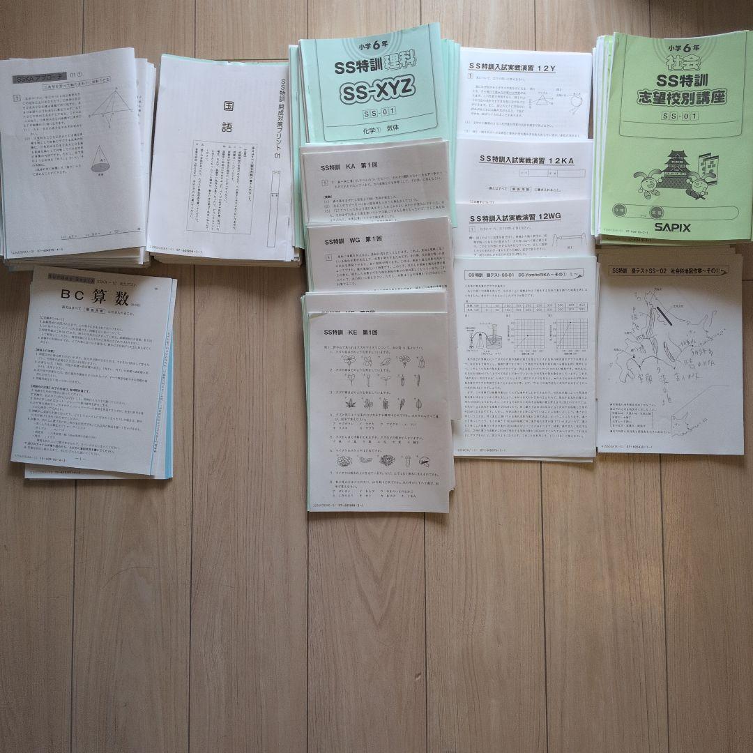 Sunday Sapix 2025年度 6年生 セット