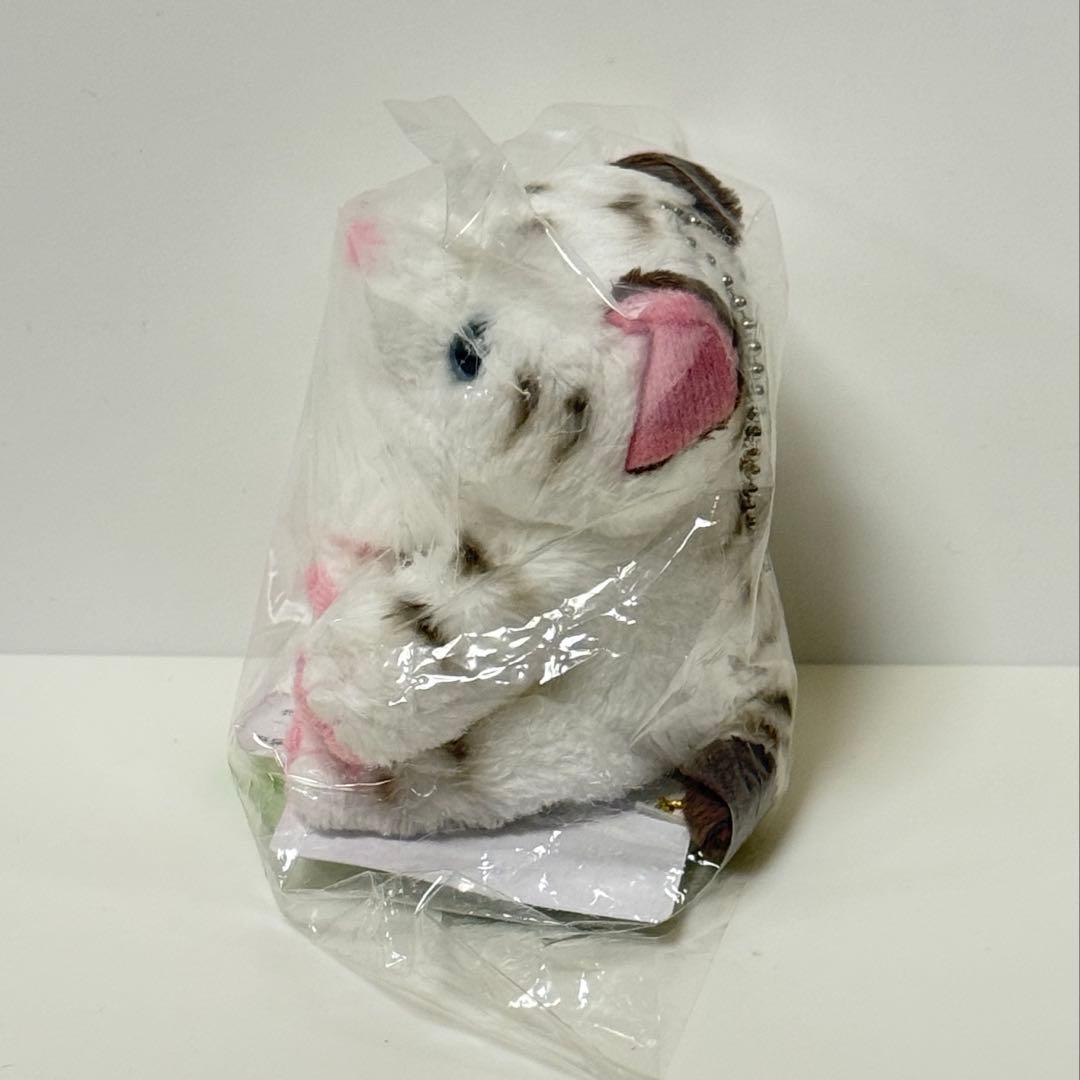 東武動物公園 ホワイトタイガー ぬいぐるみ キーホルダー - メルカリ