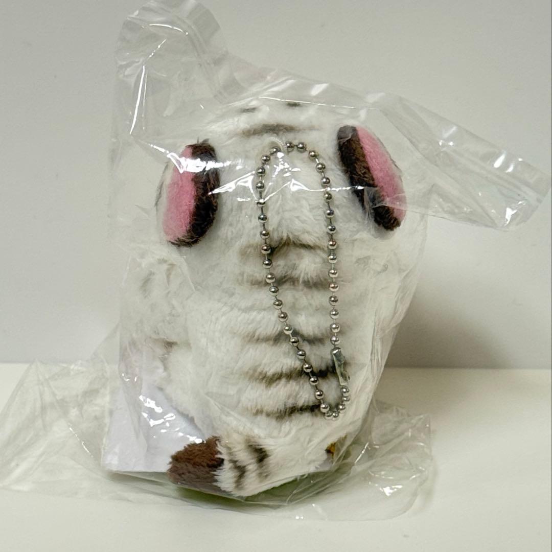 東武動物公園 ホワイトタイガー ぬいぐるみ キーホルダー - メルカリ