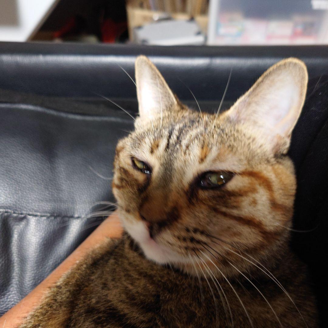 ☆mic　ホットウィール2点まとめて☆