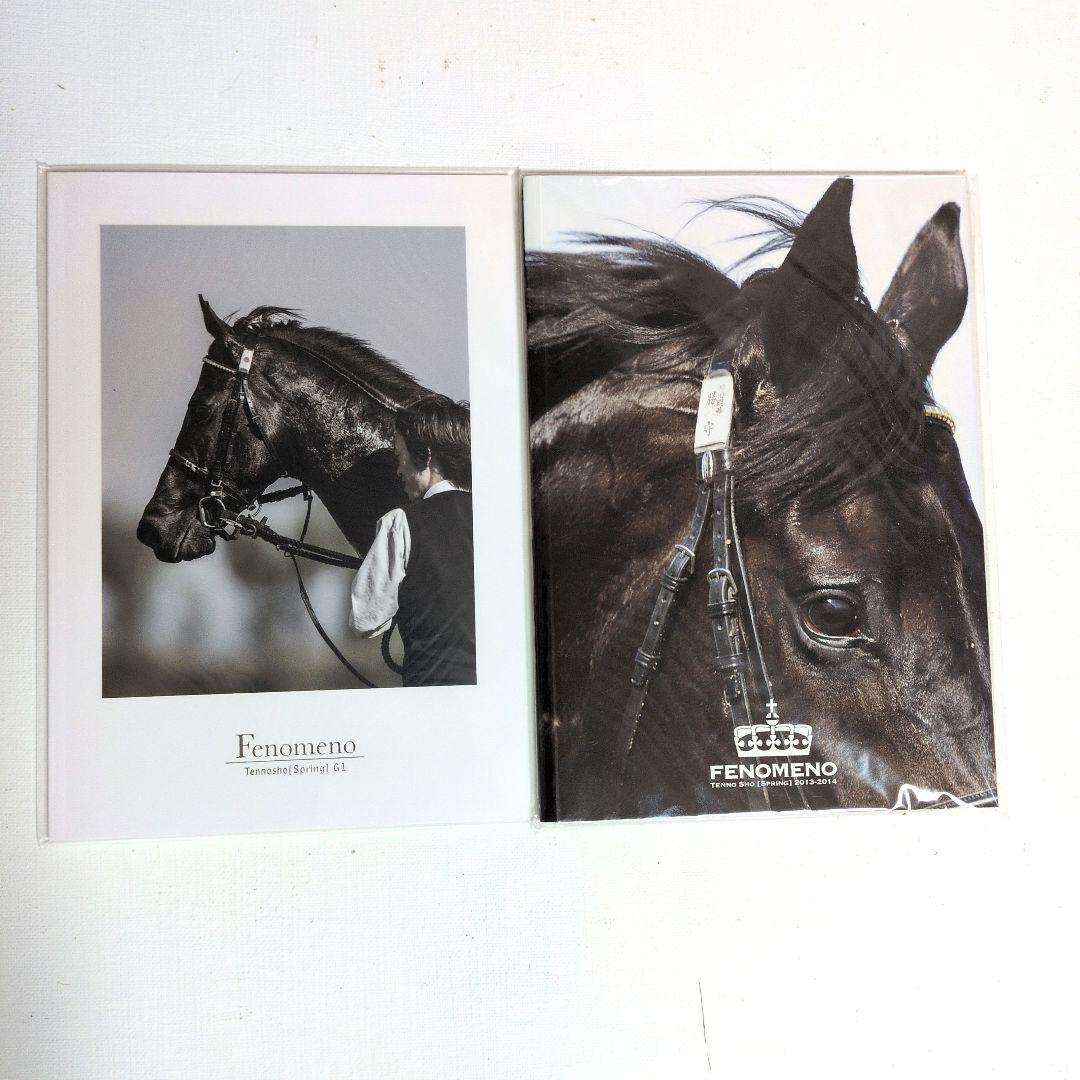 フェノーメノ非売品フォトブック2冊セット