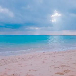 RWBY 海外 ヴァイス プレミアムブースター サイン SP ノーラ - メルカリ