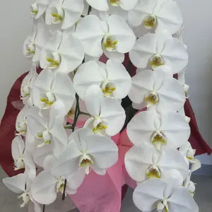 Leilian レリアン ダウン ファー付 グレー系 ロング丈 13号サイズ