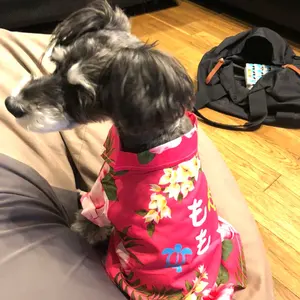 m092907m eangle 2025年 冷蔵庫 ANG-RE170-C1 - メルカリ