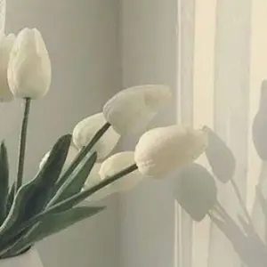 眉アートメイク色素 フィブロウ Phibrows ブラウン4色 残6割 - メルカリ