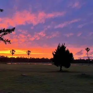 新品未開封】遊戯王 ホーリーナイト・ドラゴン グレート・モス 各5枚