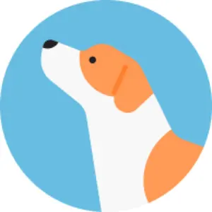 PSA9連番】カシオペアSR・SARセット - メルカリ