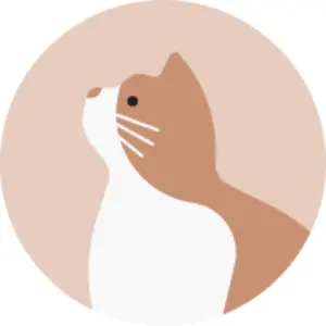 ラブカ 前田佳織里 サイン PE+ 桜坂しずく ラブライブ 虹ヶ咲 - メルカリ