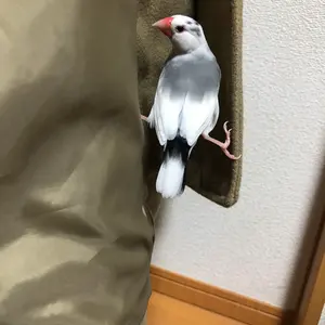 遊戯王 M HERO ファウンティン シークレットRED 赤シク - メルカリ