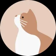 ルセラフィム SPAGHETTI ユニバ 先着ラキドロ 東京ドーム コンプ