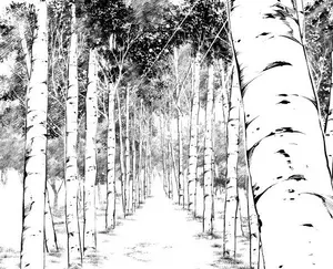 ZD8純正トルセンデフ 走行1000kmで取り外し - メルカリ