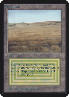 Savannah • Revised Edition (3ED) #285