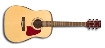 AW10 (2000–2003) | Ibanez Wiki | Fandom