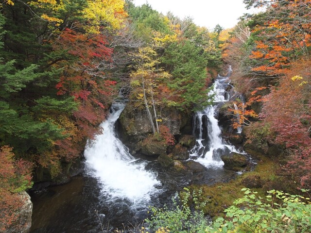 日光(竜頭ノ滝)の紅葉見頃・天気情報 2025 - 日本気象協会 tenki.jp