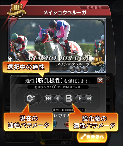 株券・スターホースカード | StarHorse4（スターホース4