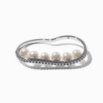 ring2.jpg?d=20240826000343