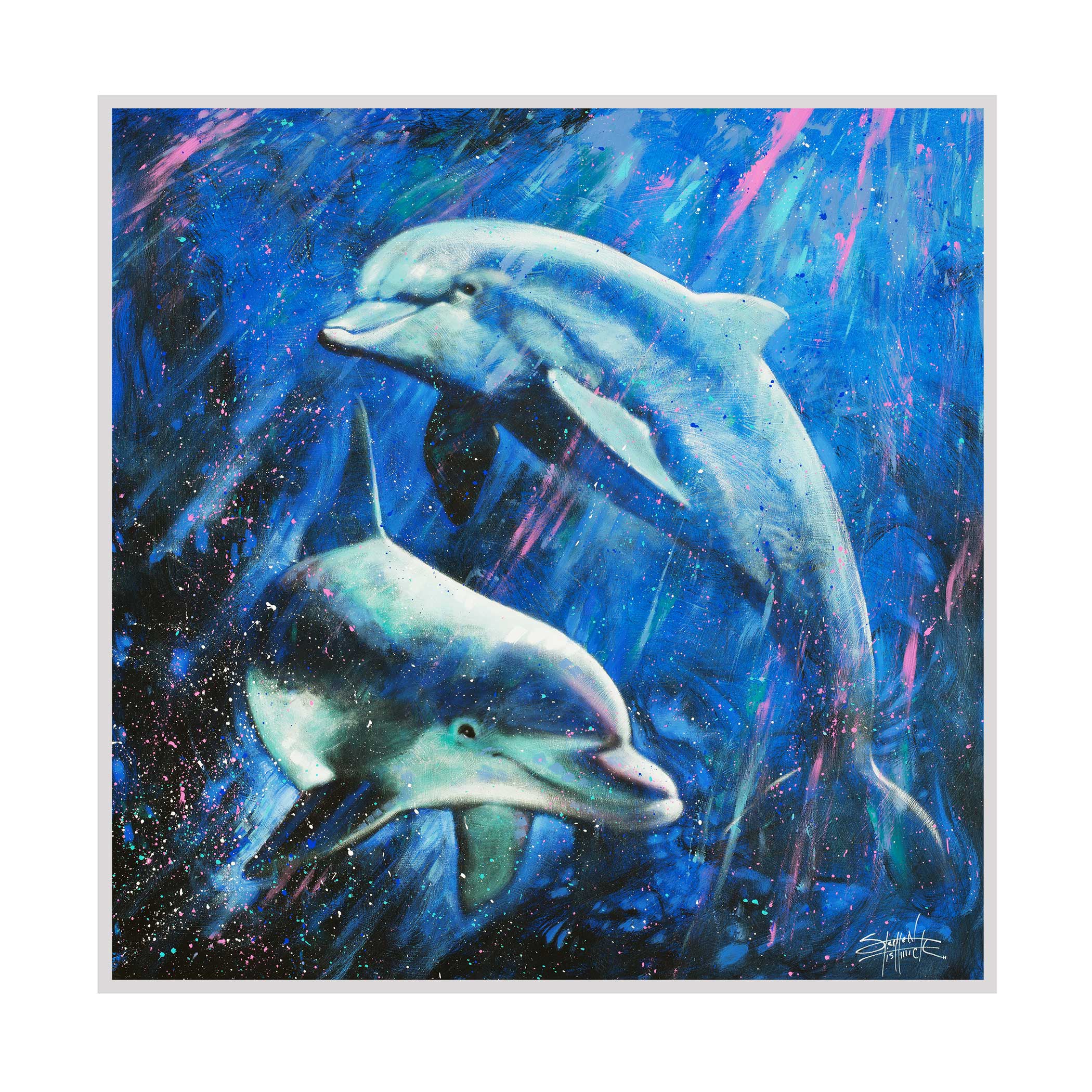 MDP-Square-Dolphins.jpg?v=