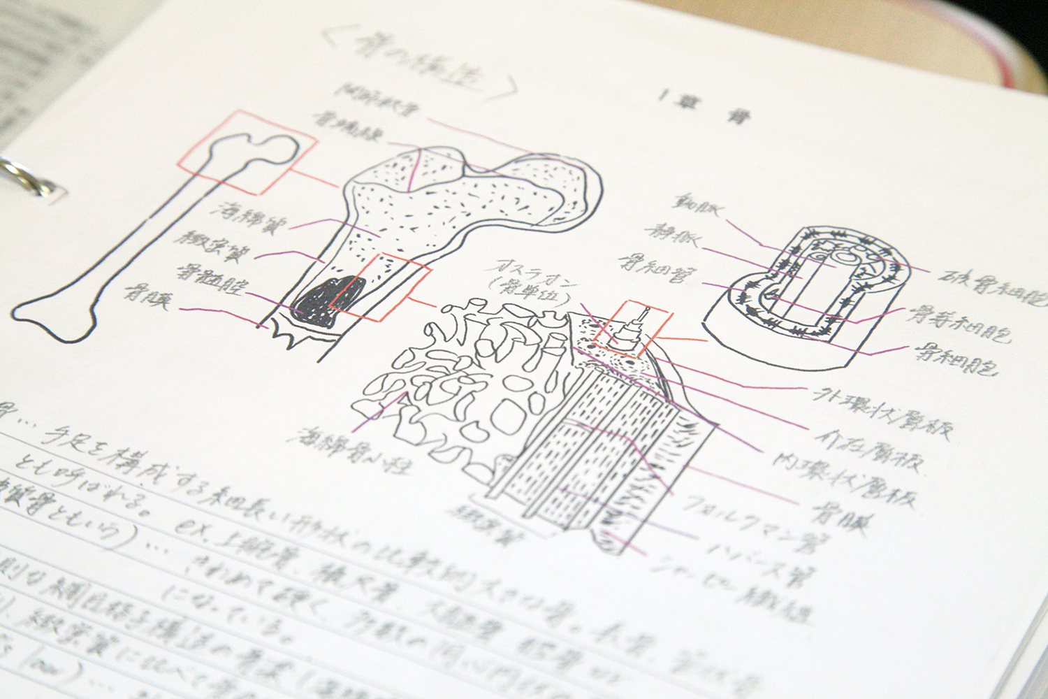 国家試験に向けて。 | サンビレッジ 専門学校
