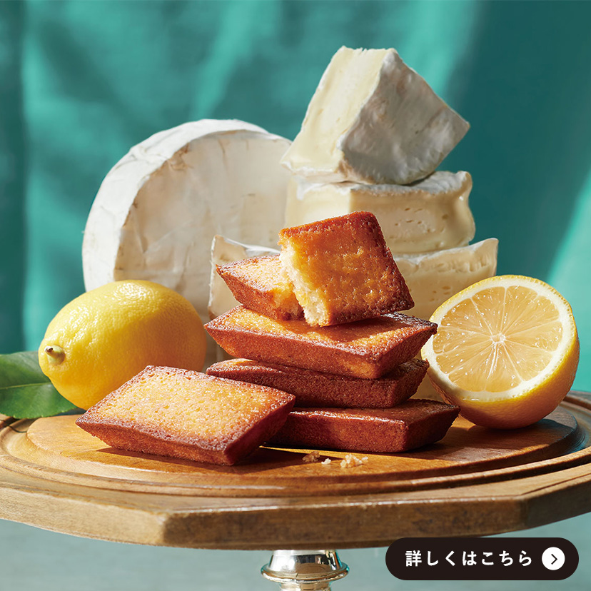 ザ・ドロス｜公式サイト