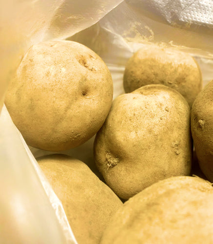 じゃがいもについて – 北海道・十勝 須田農場