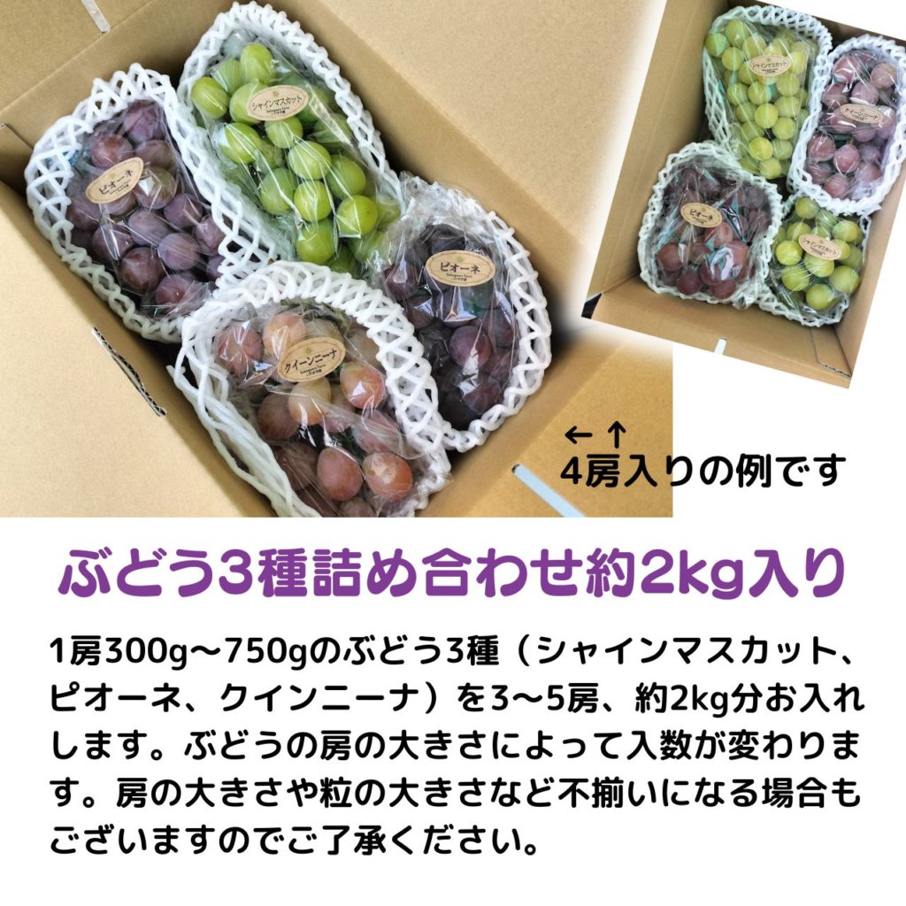 ぶどう3種詰め合わせ約2kg 3〜5房入り 税込3850円 | 親バカトマト 助川