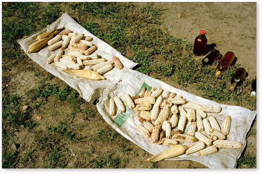 Things and seen Shingo Wakagi (若木信吾) – SUPER LABO