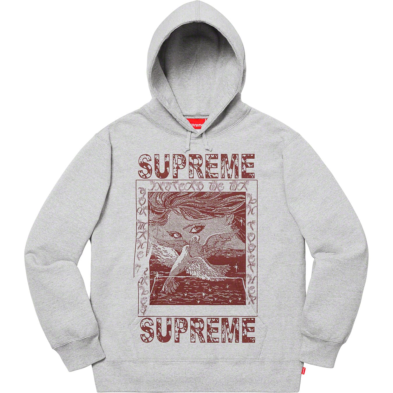 Doves Hooded Sweatshirt | Supreme 19fw