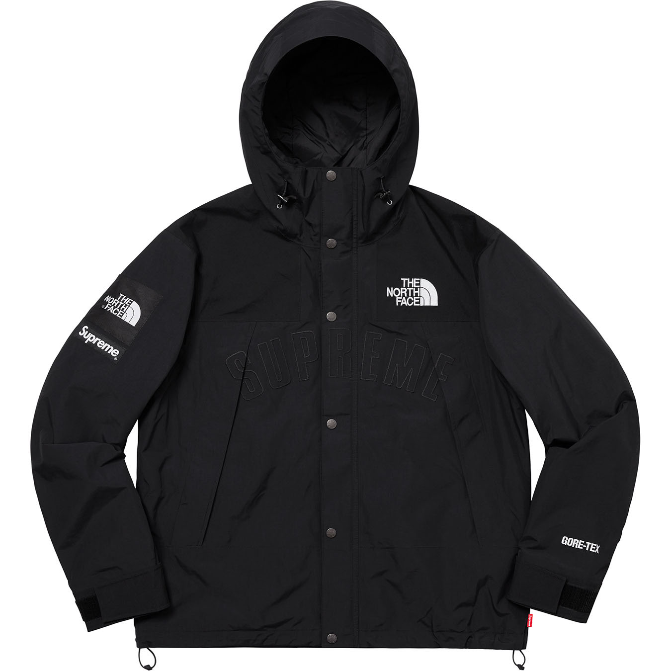 Supreme®/The North Face® Arc Logo Mountain Parka | Supreme 19ss