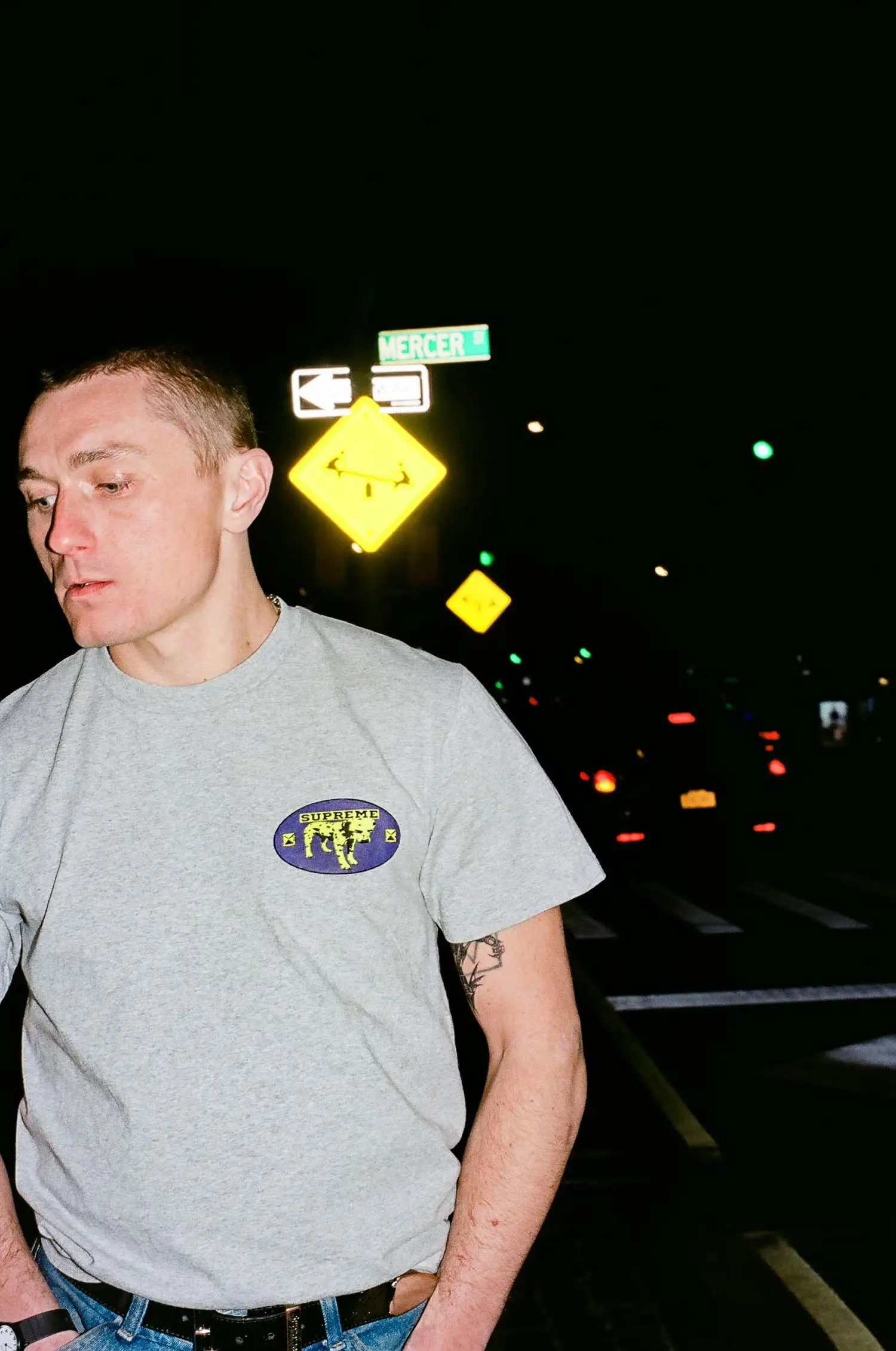 Dalmatian Tee | Supreme 25ss