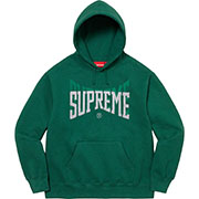 Rhinestone Shadow Hooded Sweatshirt | Supreme 22fw
