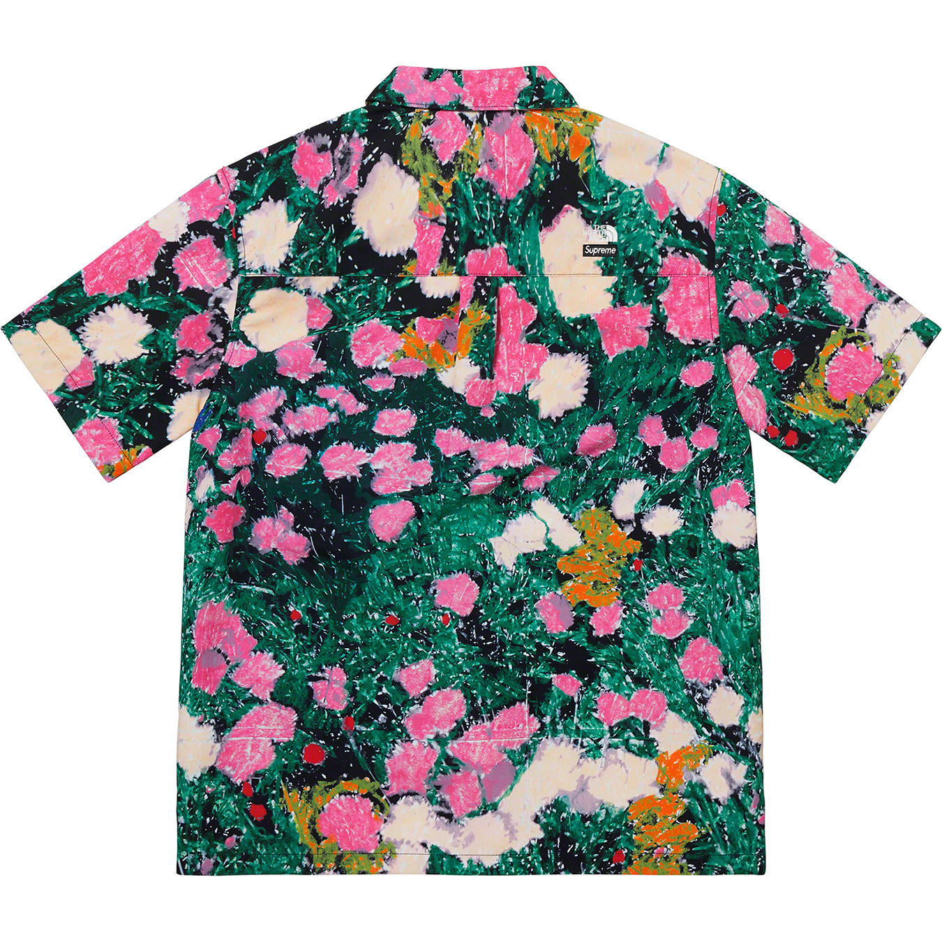 Supreme®/The North Face® Trekking S/S Shirt | Supreme 22ss