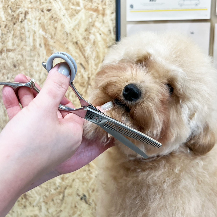 ファンが多い人気シザー☆パワーセニングシザー｜トリマーに人気の