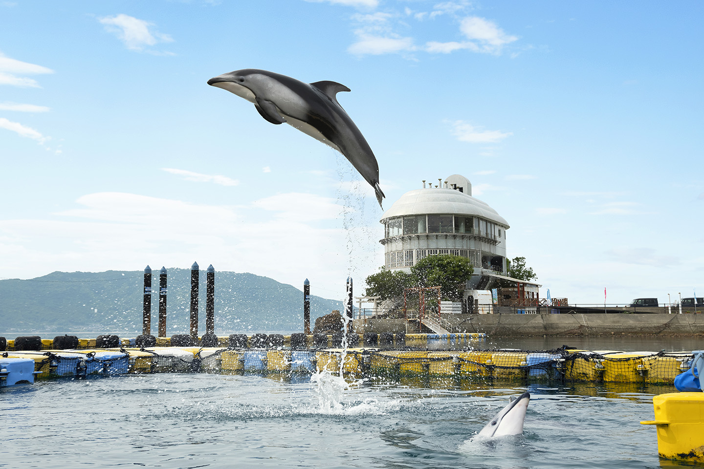 日本ドルフィンセンターの観光ガイド (香川県さぬき市津田町鶴羽1520