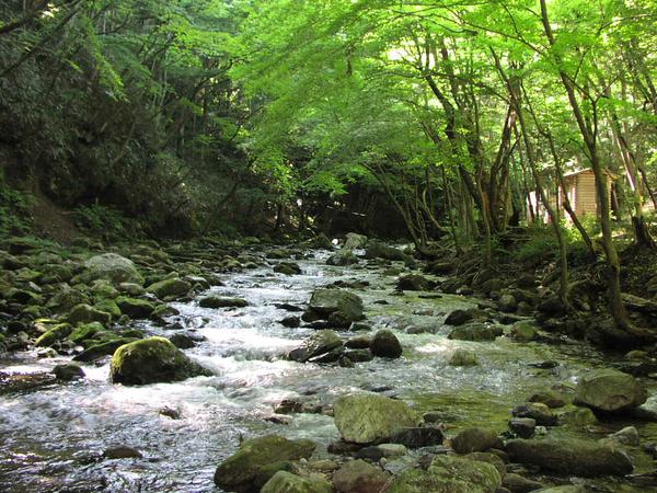 花園渓谷 | 茨城 北茨城 おすすめの人気観光・お出かけスポット