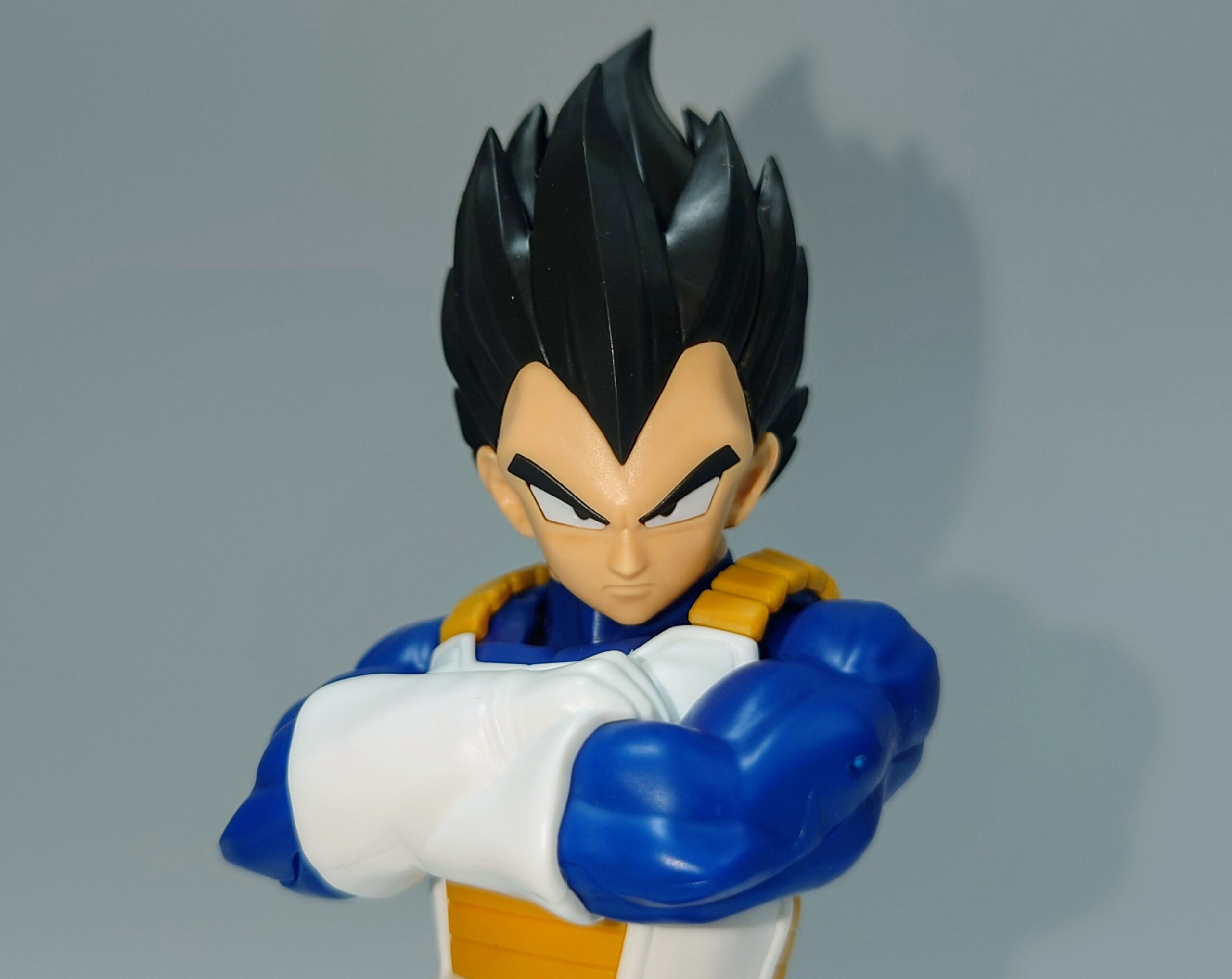 レビュー138 Figurerise‐Standard ベジータ（NEW SPEC ver.） | しょくGUN